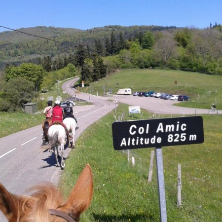 Cheval et autres sports